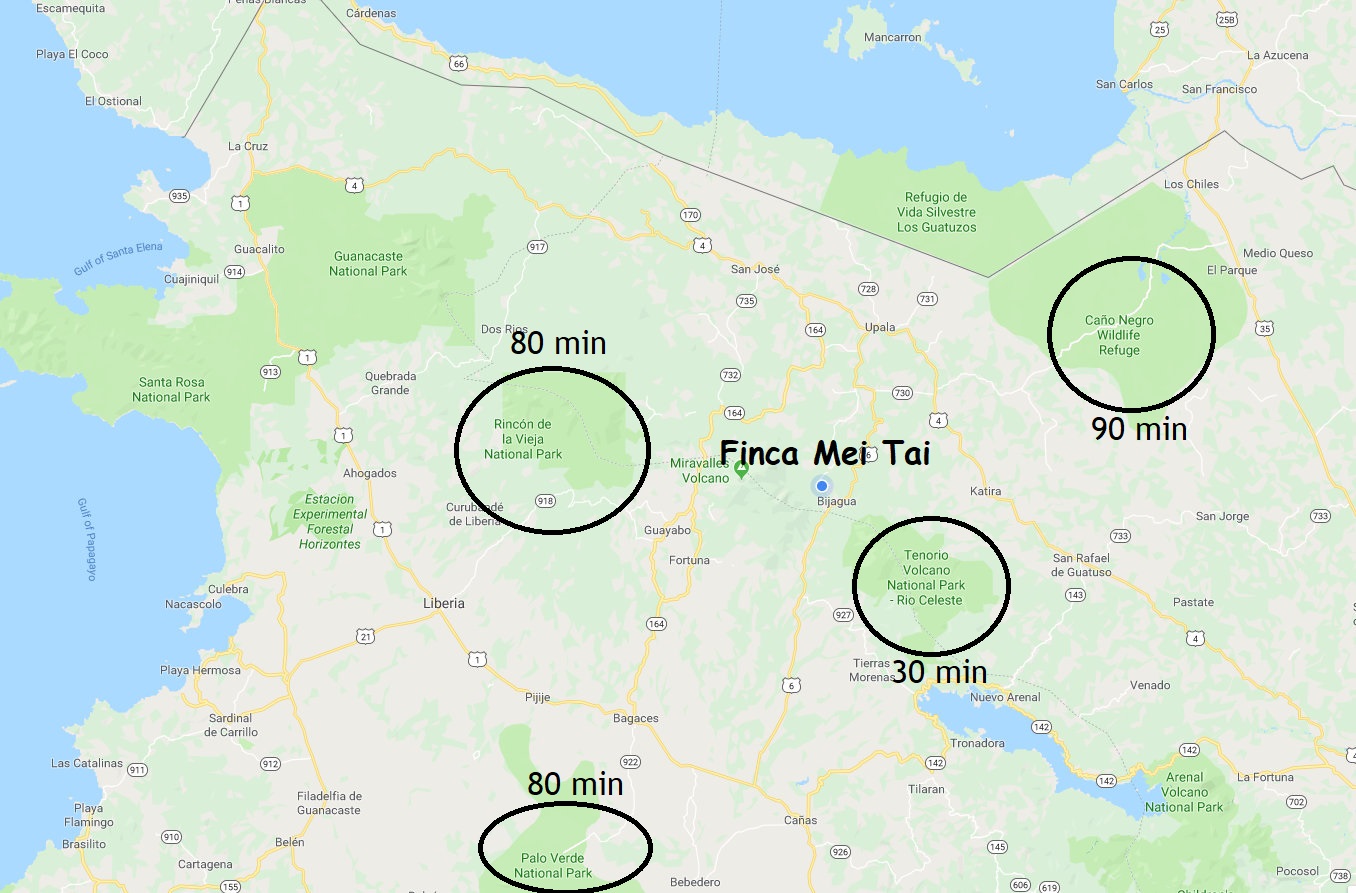 The property